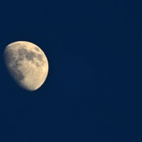 луна луна :: Александр Леонов