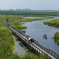 Здесь множество водоплавающих птиц и животных! :: Юрий Поляков