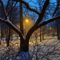 Последний день осени в Москве :: Андрей Лукьянов