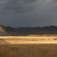 У Белой горы. :: Марина Фомина.