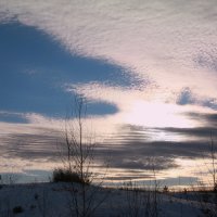Облака,как птицы... :: Нэля Лысенко