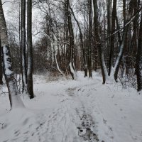 Первый снег для меня -  как молодая  зелень весной :: Андрей Лукьянов