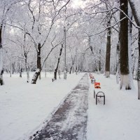 Первый снег :: Валерий Иванович