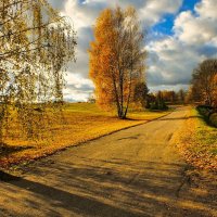 Дорога в осень :: евгений 