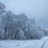 Дорога. :: Александр Сергеевич 