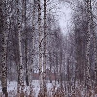 Первый день зимы :: Ольга Довженко
