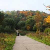 В осеннем парке. :: Милешкин Владимир Алексеевич 