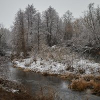 Начало зимы :: Вера Сафонова