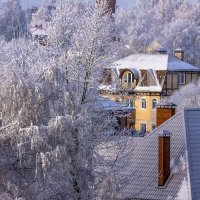 Редкие, светлые дни декабря. :: Петр Беляков