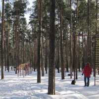 Зимой в парке :: Вера Щукина