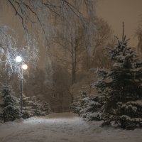 Вечером в начале зимы :: Александр Орлов