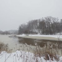 Подмосковные Пейзажи :: юрий поляков