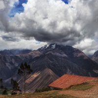 Альпака и горы Боливии... :: Александр Вивчарик