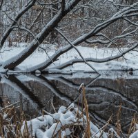 У Тихой Воды :: юрий поляков