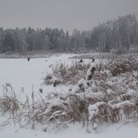 На озере :: Татьяна 