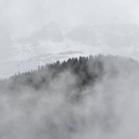 Альпийские горы в тумане :: Георгий А