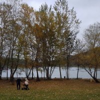 Осень у озера :: Наталья (D.Nat@lia)