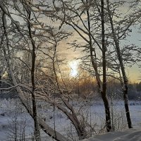 Декабрь. Сказочный день в лесопарке :: Елена Павлова (Смолова)