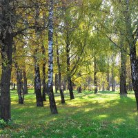 Парк Дружбы на Речном вокзале :: Маргарита Батырева