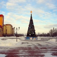 Новогодняя ель в парке на Александровской ул. :: Лия ☼