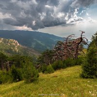 ЯЛТИНСКИЙ ГОРНО-ЛЕСНОЙ ЗАПОВЕДНИК :: Sergey Bagach