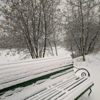 После снегопада :: IRINA FILIPPOVA