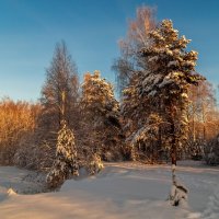 Декабрь, солнце и мороз 02 :: Андрей Дворников