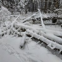 О грустном :: Андрей Лукьянов