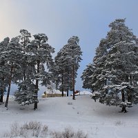 Зима. :: Николай Масляев