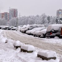 Зима красивая пришла. :: tatiana 