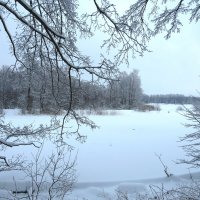 Графика зимы :: Андрей Снегерёв