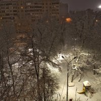 Ночь после снегопада :: Кот Шредингера
