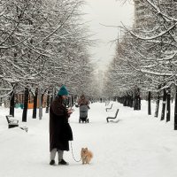 Зима на липовой аллее в нашем парке. :: Татьяна Помогалова