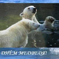 С Днём медведя! :: Дмитрий Никитин