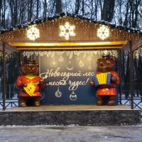 В ожидании Нового года :: Galina Solovova