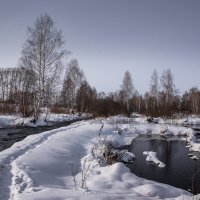 У озера Лебединого :: Виктор Четошников