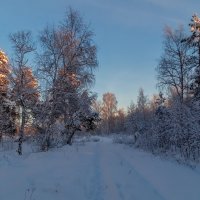 Декабрь, солнце и мороз 06 :: Андрей Дворников