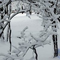 Снежно :: Мираслава Крылова
