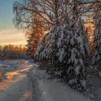 Декабрь, солнце и мороз 07 :: Андрей Дворников