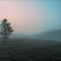 В Карпатах. :: Юрий Гординский