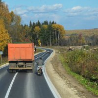 Московская область. Солнечногорский район. По дороге... :: Наташа *****