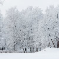 Чародейкою Зимою околдован, лес стоит :: Елен@Ёлочка К.Е.Т.