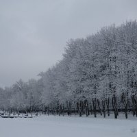 Зимний парк :: Дмитрий Никитин
