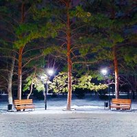 Вечерняя прогулка по парку :: Динара Каймиденова