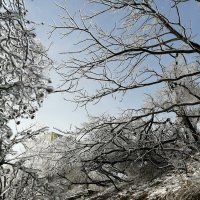 Приморский край, Владивосток :: Елена Никитина