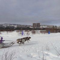 Вот такие гонки... Без формулы... :: emaslenova 