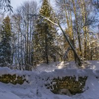 Про зиму :: Сергей Цветков