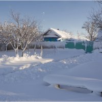 Были зимы на Кубани. :: Евгений Воропинов