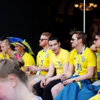 Шведская поддержка. :: sav-al-v Савченко