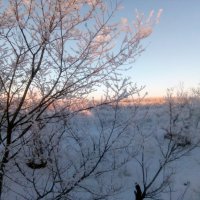 декабрьское Солнце,на закате. :: Андрей Хлопонин